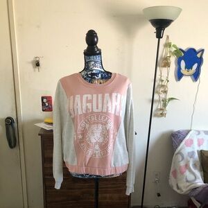 Adorable Pink and Gray Graphic Sweatshirt